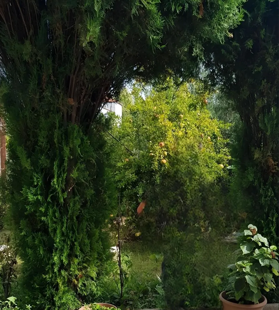Green Oasis Holiday Home Vlore