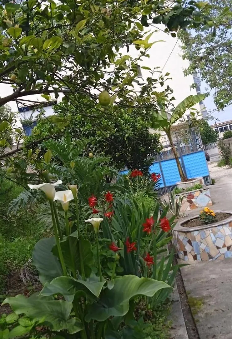 Green Oasis Holiday Home Vlore